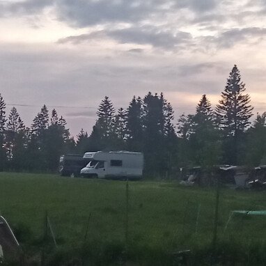 Abenddämmerung, neben der Schafherde