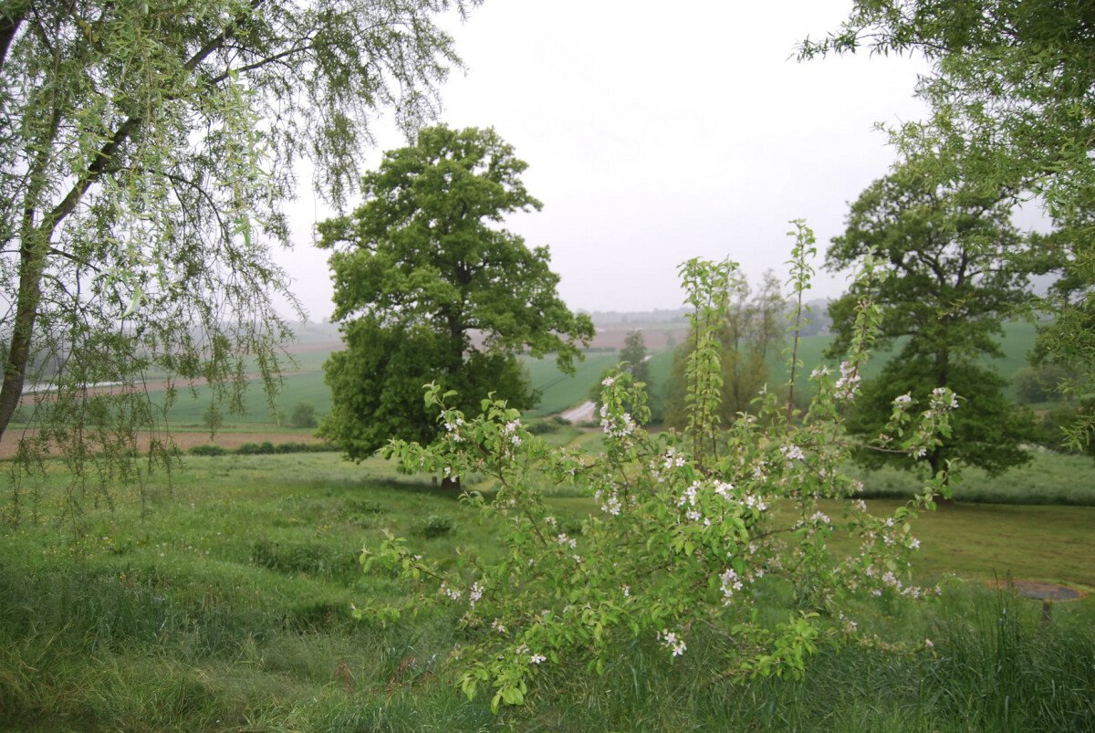 1687186192_Screenshot_2023-06-19_at_16.45.44