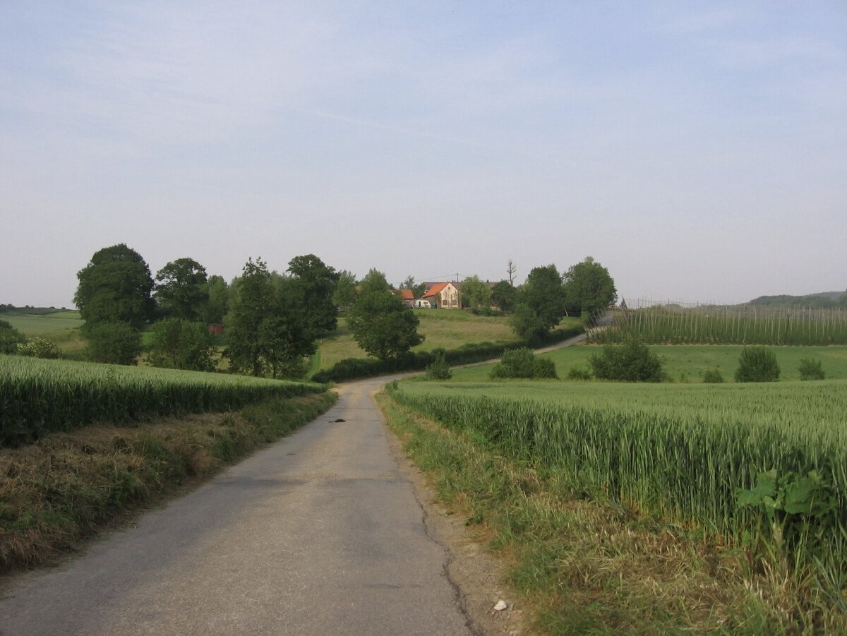 1687186198_Screenshot_2023-06-19_at_16.46.46