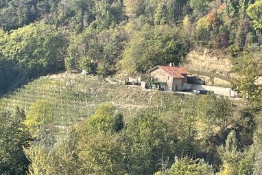 Farm and its vineyard
