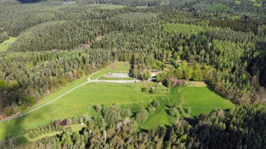 Luftbild Stellplatz im Wald