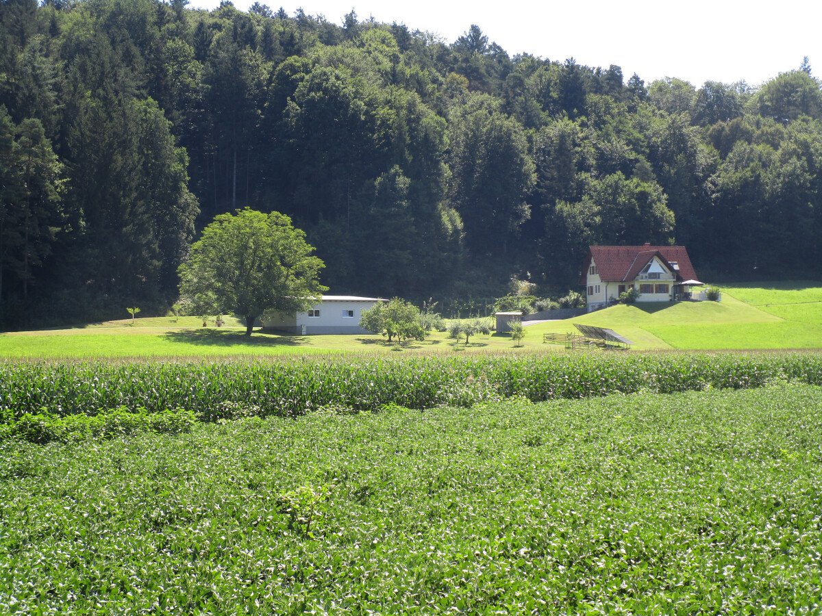 Foto (21).JPG