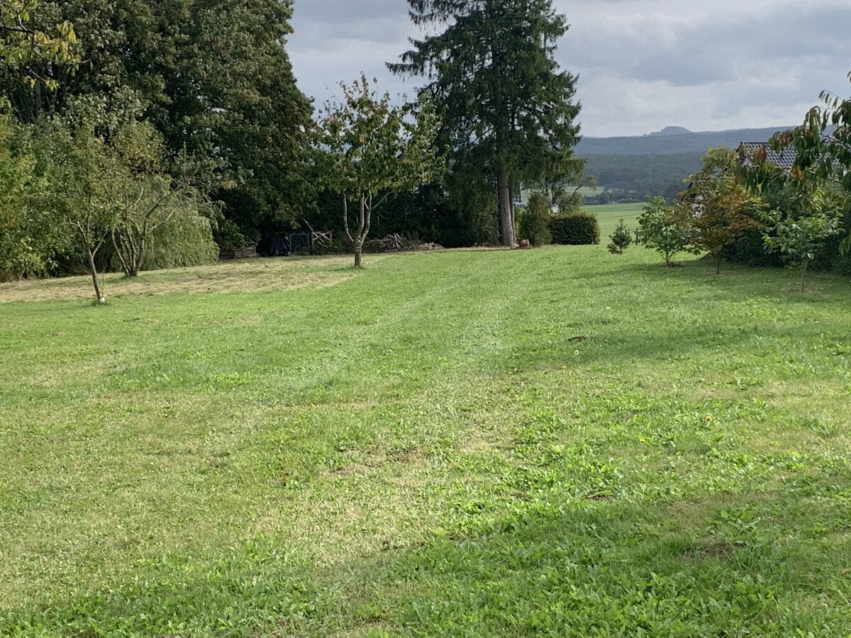 097867FD-1A6C-4F50-A8CB-0C93B8253792.jpeg