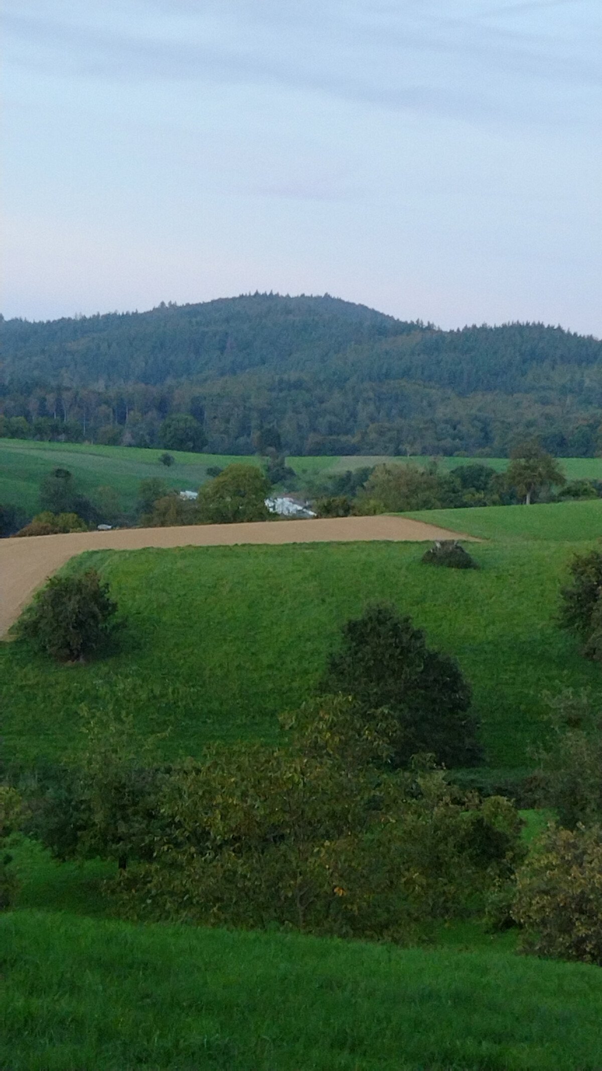IMG-20231001-WA0003.jpeg